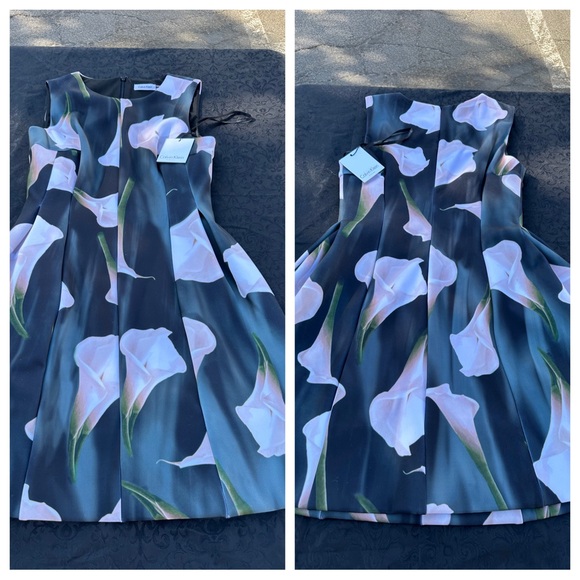 NWT Calvin Klein dress size 10
Pit to pit: 16”
Length: 35” - Picture 1 of 6